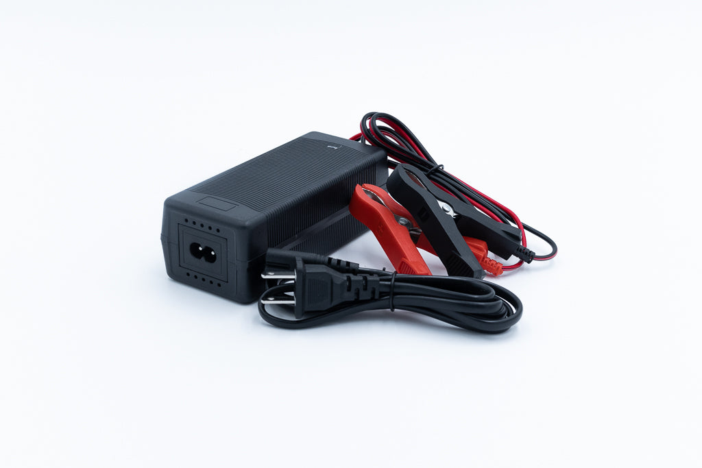 12v 5a Non Waterproof Lithium Charger