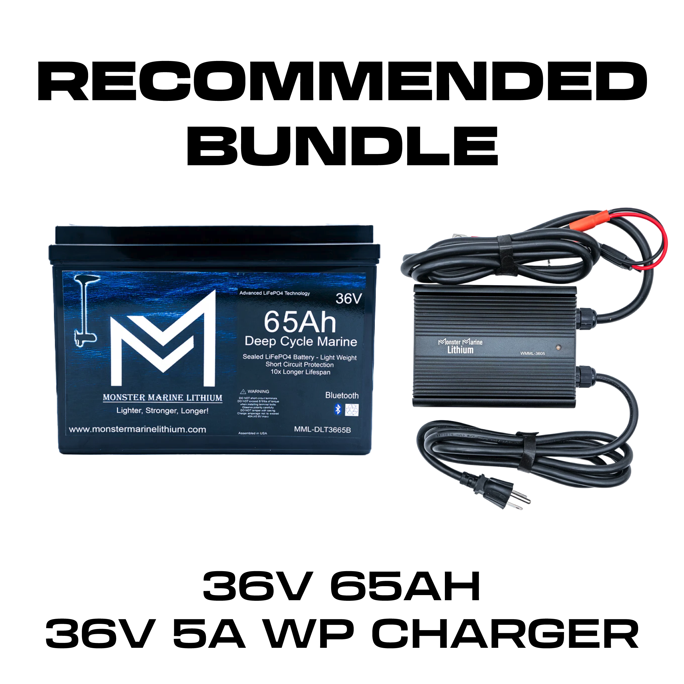 36V 65AH + 36V 5A BUNDLE