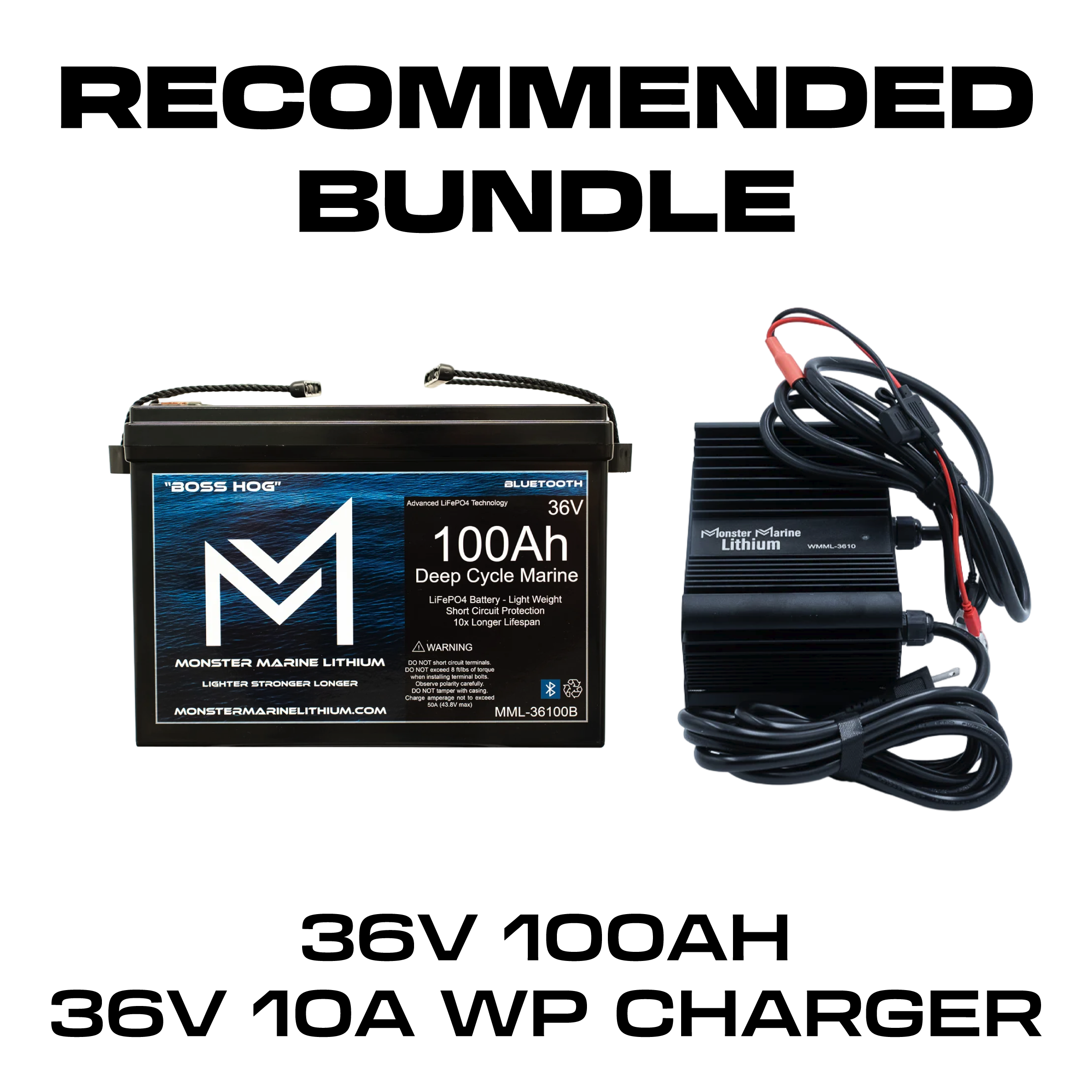 36V 100AH + 36V 10A BUNDLE