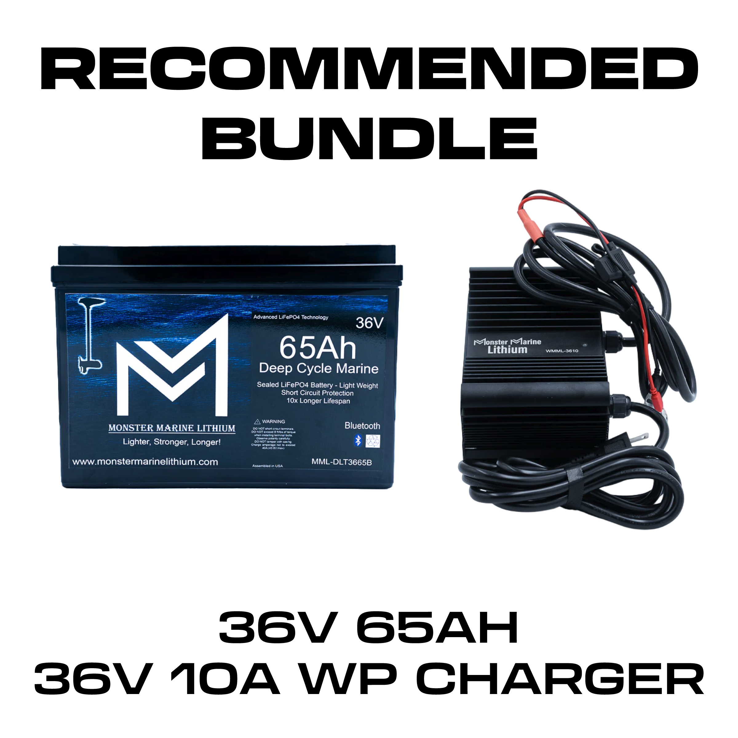 36V 65AH + 36V 10A BUNDLE