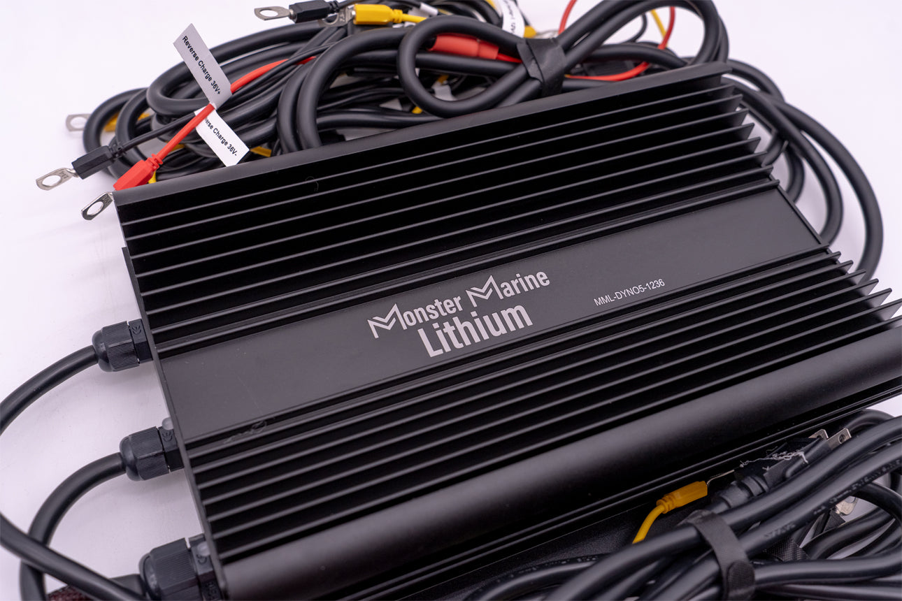 36v - DYNO5 - DYNAMIC CHARGER