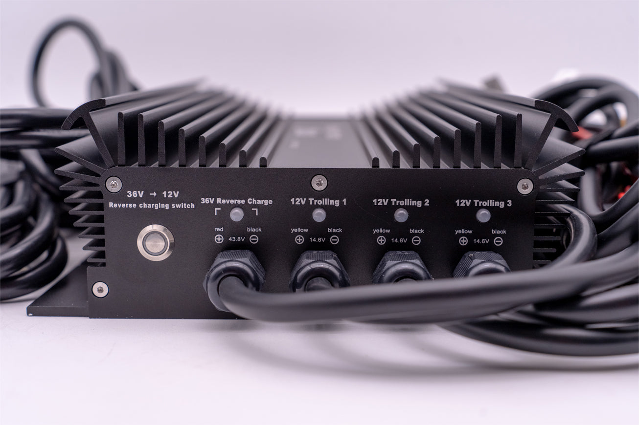 36v - DYNO5 - DYNAMIC CHARGER
